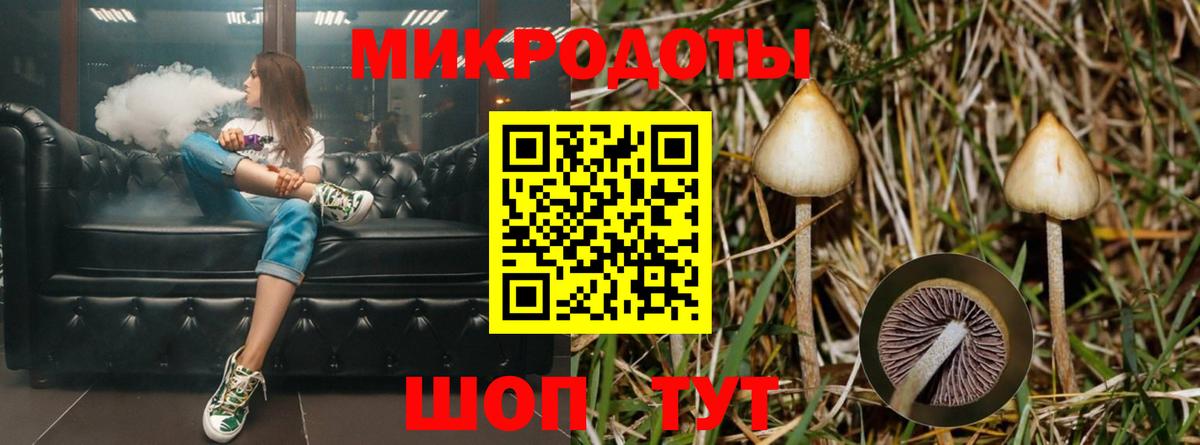 где купить наркоту  Вход с VPN  Калининград  Псилоцибиновые грибы мухоморы 